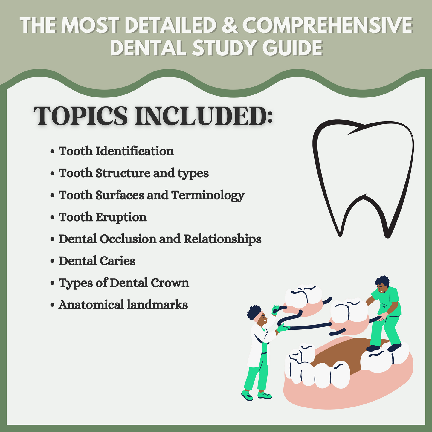 Dental Anatomy | 38 Pages | 8 Topics