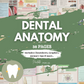 Dental Anatomy | 38 Pages | 8 Topics